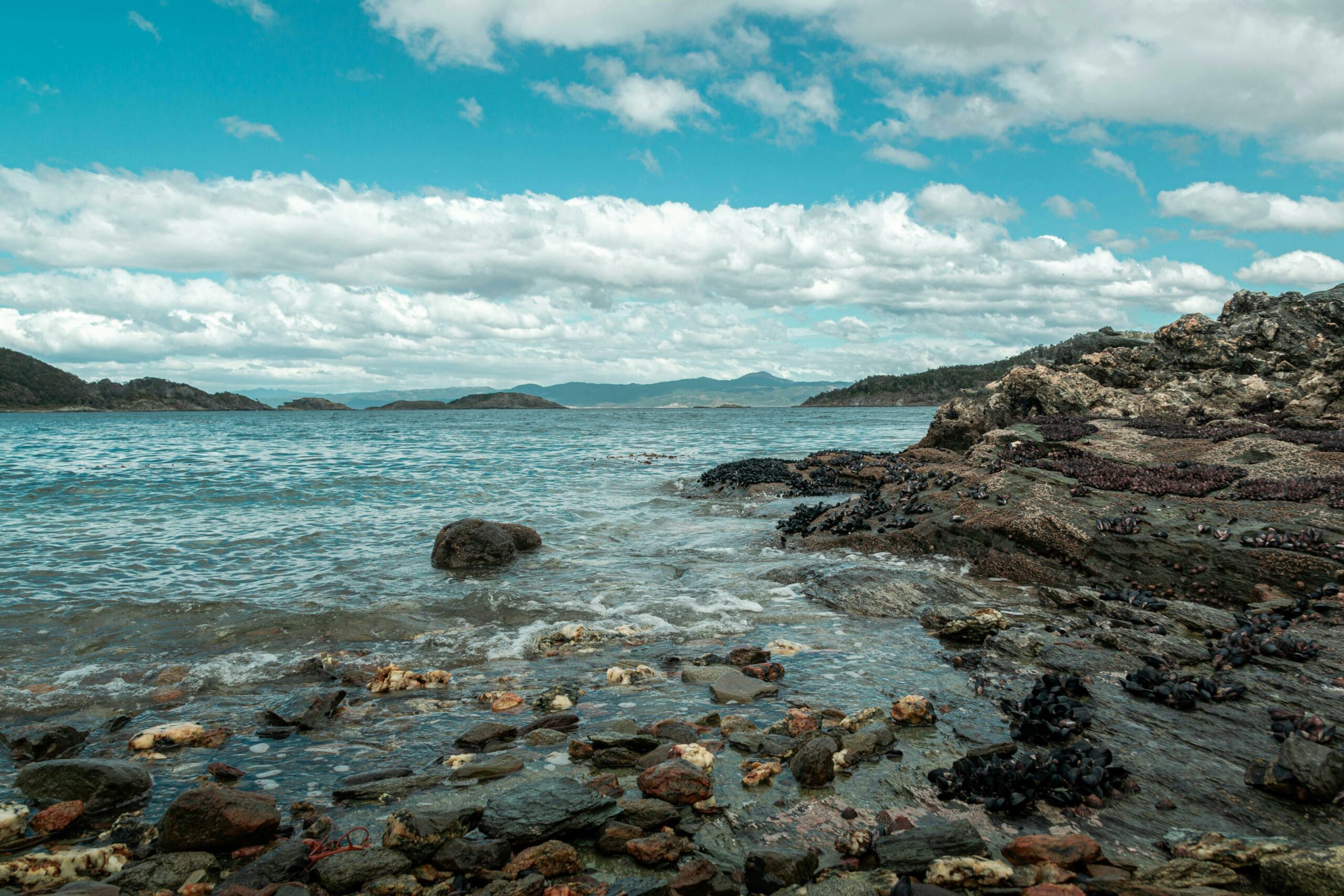 Bahía Lapataia: Donde Termina la Ruta y Comienza la Aventura